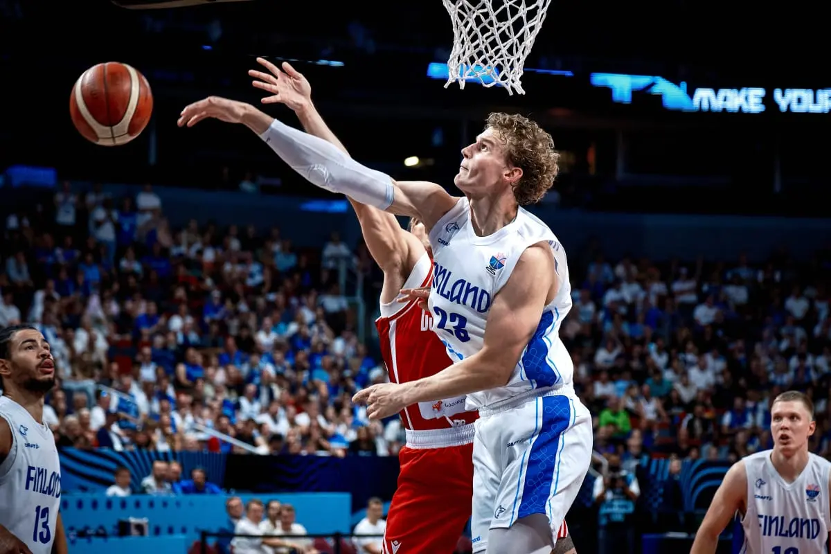 img, 斯洛文尼亚, 贡献